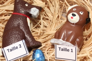 Moulage Chien taille 2